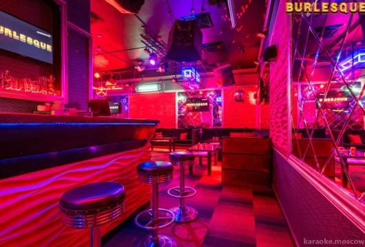 стриптиз-клуб burlesque фото 13 - karaoke.moscow