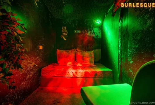 стриптиз-клуб burlesque фото 7 - karaoke.moscow