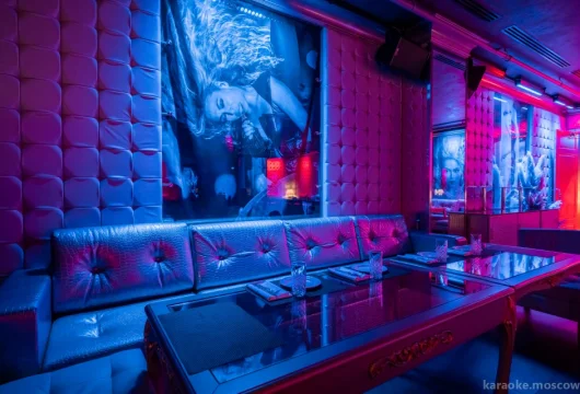 karaoke club & night bar royal arbat фото 13 - karaoke.moscow