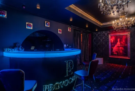 мужской клуб provocateur фото 4 - karaoke.moscow