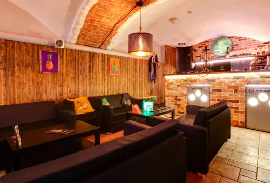 бар ananas lounge фото 5 - karaoke.moscow