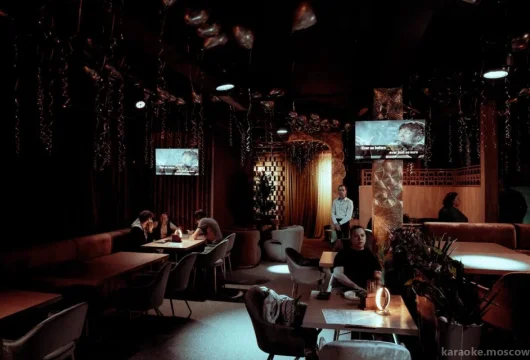 караоке-клуб шум фото 1 - karaoke.moscow