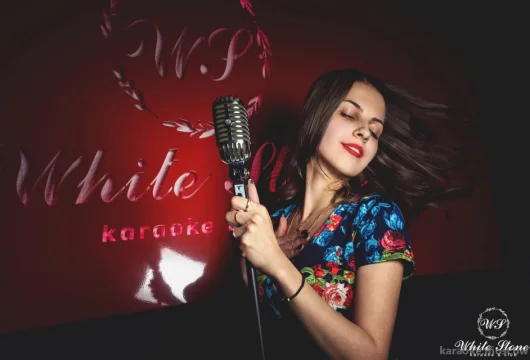 ресторан-клуб white stone фото 6 - karaoke.moscow
