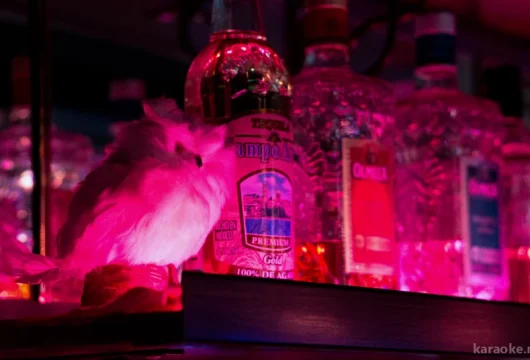 ночной клуб сова фото 8 - karaoke.moscow