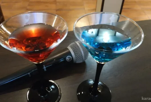 караоке-клуб ян пен фото 3 - karaoke.moscow