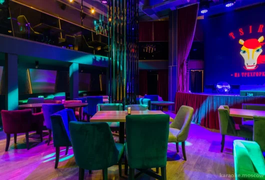 кальянная-ночной клуб tsirk на трехгорке фото 6 - karaoke.moscow