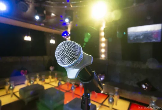 караоке-клуб в покровском-стрешнево фото 16 - karaoke.moscow