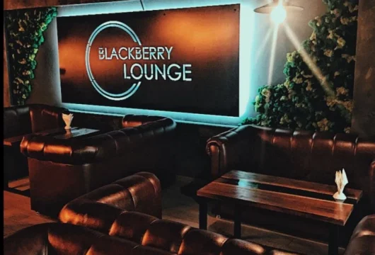 лаундж-бар blackberry lounge фото 7 - karaoke.moscow